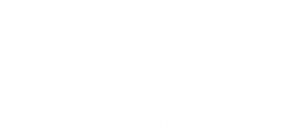 GNSI Consulting